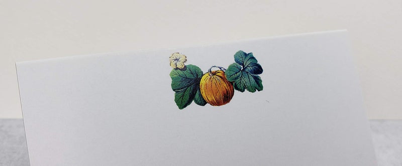 Nancy Nikko Place Cards Autumn Theme W/Pumpkin And Leaves. For Weddings, Showers, Dinners, Parties And Special Events Table Tent Style, Scored For Easy Folding. Pkgs Of 12/25 / 50 (12) - Image 2