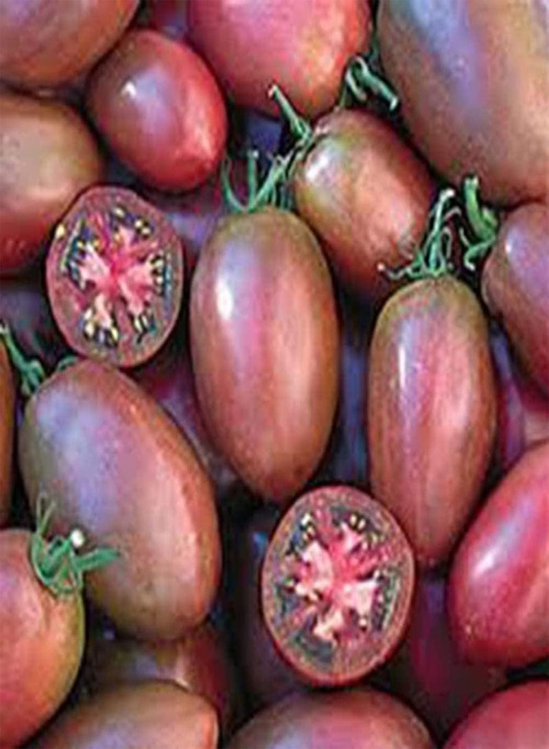 GGOOT 50Pcs Rainbow Colors Tomato Seeds | Home Garden Vegetable Fruit Bonsai Yard Balcony Plant Purple 1 - Image 1