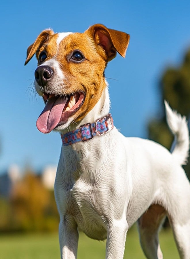 كيوكيو بيتس طوق كلاب عاكس من QQPETS مزود بإبزيم معدني، طوق نايلون قابل للتعديل، هدية مثالية للكلاب الصغيرة والمتوسطة والكبيرة من الجنسين. - Image 2
