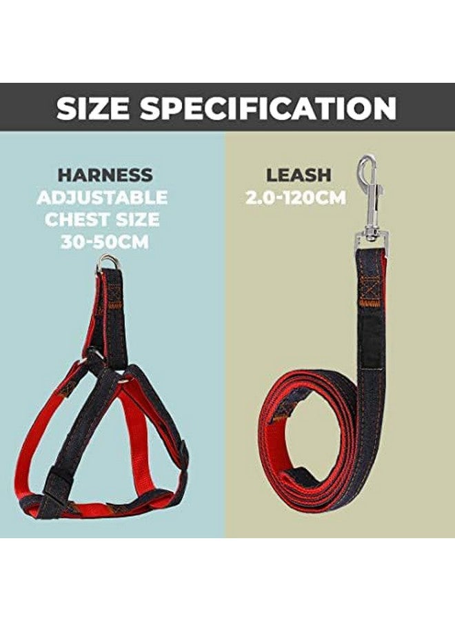 هومستيك حزام طوق الكلب مع حزام قابل للتعديل | نسيج ديمين ممتاز | خطافات معدنية | Pdmgl-013-08 | قبضة مريحة | حزام مزدوج الخياطة مع حشوة ناعمة | أزرق - Image 3