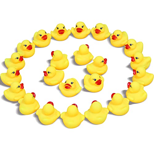 Novelty Place Rubber Duck Ducky Baby Bath Toy for Kids (24 Pcs) - Image 1