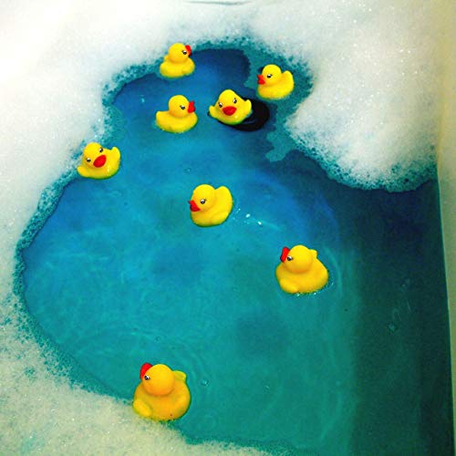 Novelty Place Rubber Duck Ducky Baby Bath Toy for Kids (24 Pcs) - Image 3