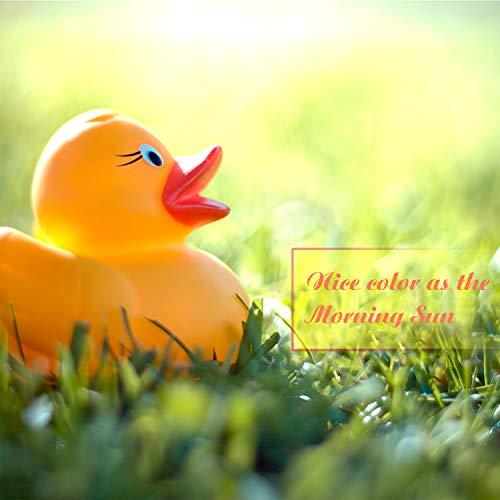 Novelty Place Rubber Duck Ducky Baby Bath Toy for Kids (24 Pcs) - Image 4