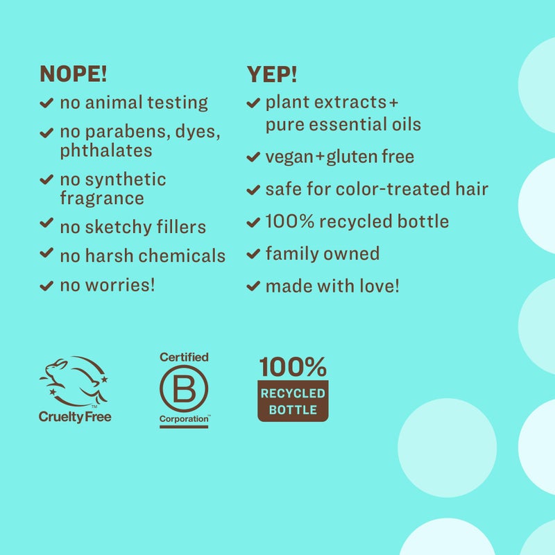 Everyone Hair Care Dreamy Shampoo - Coconut + Lemon, 12 fl oz Bottle, Gentle Cleansing & Moisturizing Hair Shampoo, Sulfate Free & Paraben Free - Image 3