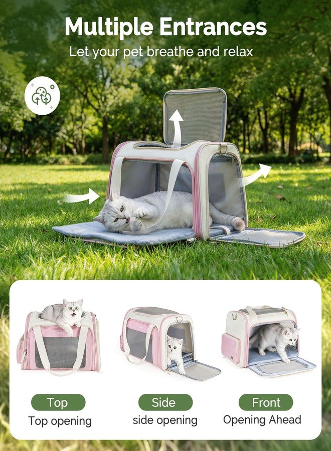 Homespon Soft-Sided Cat Carrier Dog Carrier, 34.5L Airline Approved Pet Carrier, Collapsible Travel Bag with Removable Bed for Small Dogs & Cats (Pink) - Image 4