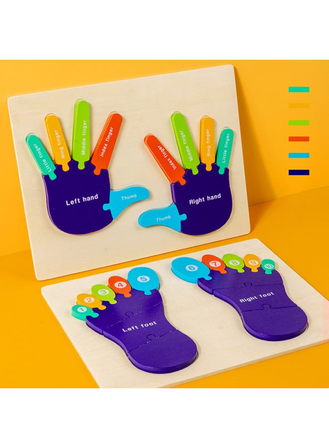 لغز إدراك النخيل الخشبي لليد والقدم وسائل تعليمية منتسوري، هيكل جسم الأطفال، ألعاب تعليمية للإدراك الإنجليزي - اللون: النخيل - Image 4