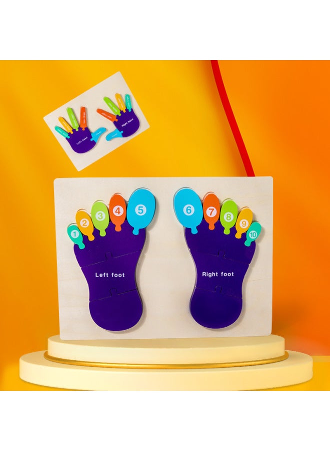 لغز إدراك النخيل الخشبي لليد والقدم وسائل تعليمية منتسوري، هيكل جسم الأطفال، ألعاب تعليمية للإدراك الإنجليزي - اللون: النخيل - Image 3