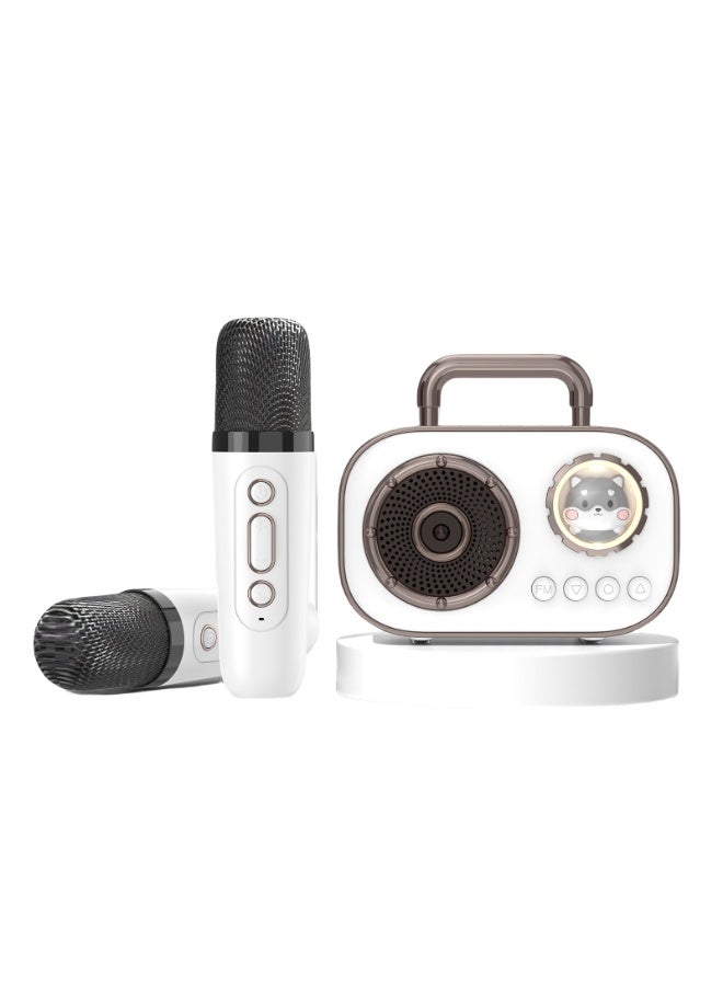 EBMINI Microphone Bluetooth Speaker With Microphone Singing Speaker All-In-One Machine