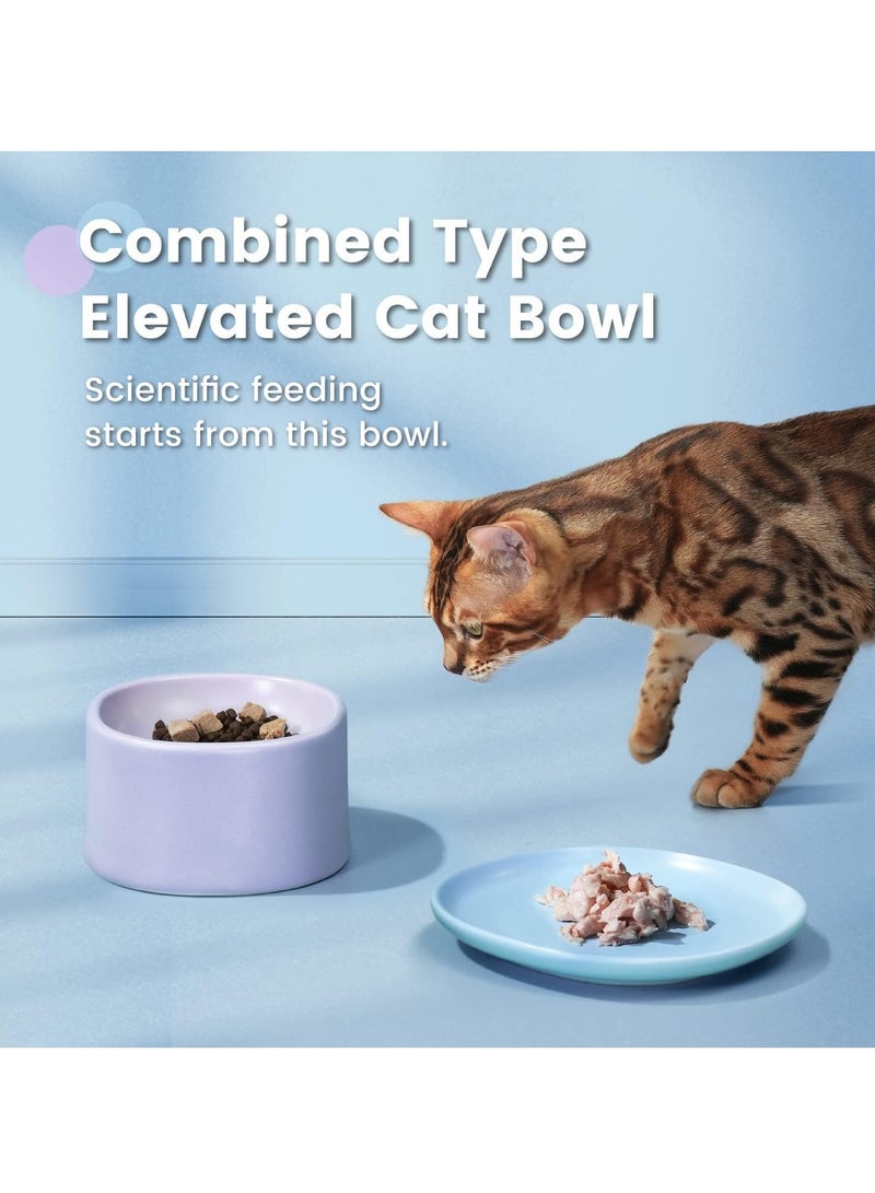 Elevated Ceramic Cat Bowl Set, Whisker Fatigue Design, Dishwasher and Microwave Safe for Indoor Use, Perfect Pet Food and Water Bowls - Image 2