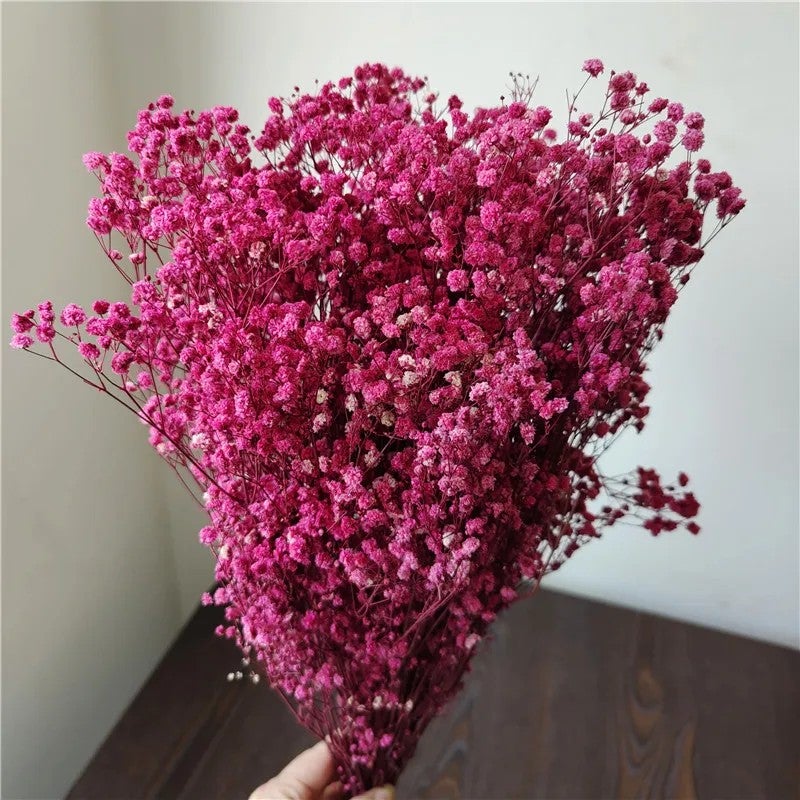Bluejw Yopin-2226 Dried Gypsophila Flowers – Preserved Baby's Breath for Weddings, DIY Crafts & Home Decor | Natural Dried Plants, Long-Lasting Bouquet Filler - Image 1