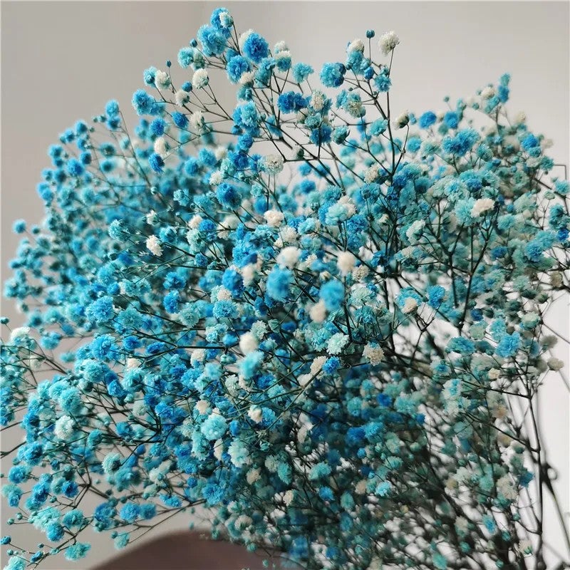 Bluejw Yopin-2226 Dried Gypsophila Flowers – Preserved Baby's Breath for Weddings, DIY Crafts & Home Decor | Natural Dried Plants, Long-Lasting Bouquet Filler - Image 4
