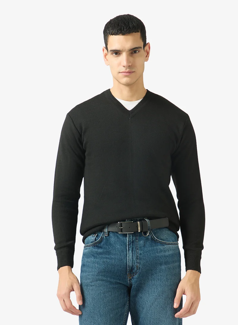 Robert Wood Casual V Neck Pullover Sweater