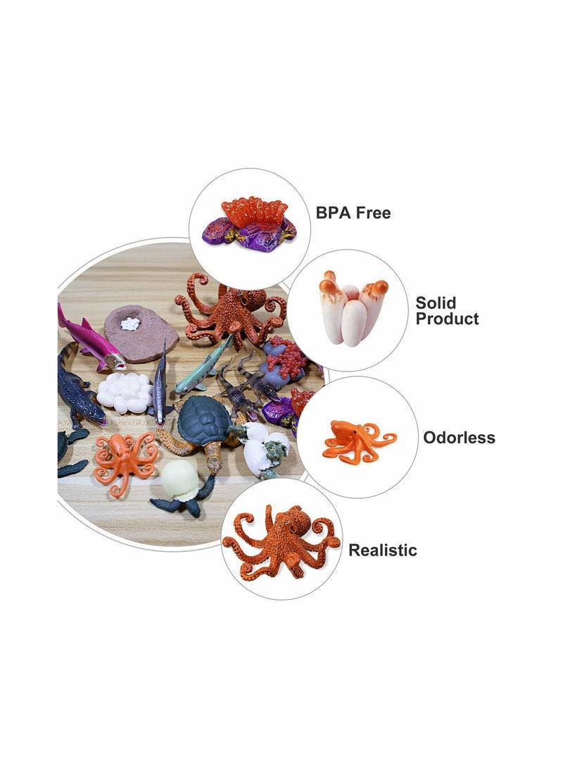 4 Sets Sea Animal Life Cycle Figurines - Turtle, Crocodile, Octopus, Salmon - Image 4