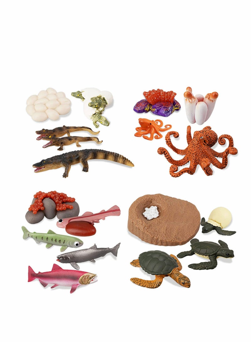 4 Sets Sea Animal Life Cycle Figurines - Turtle, Crocodile, Octopus, Salmon - Image 1