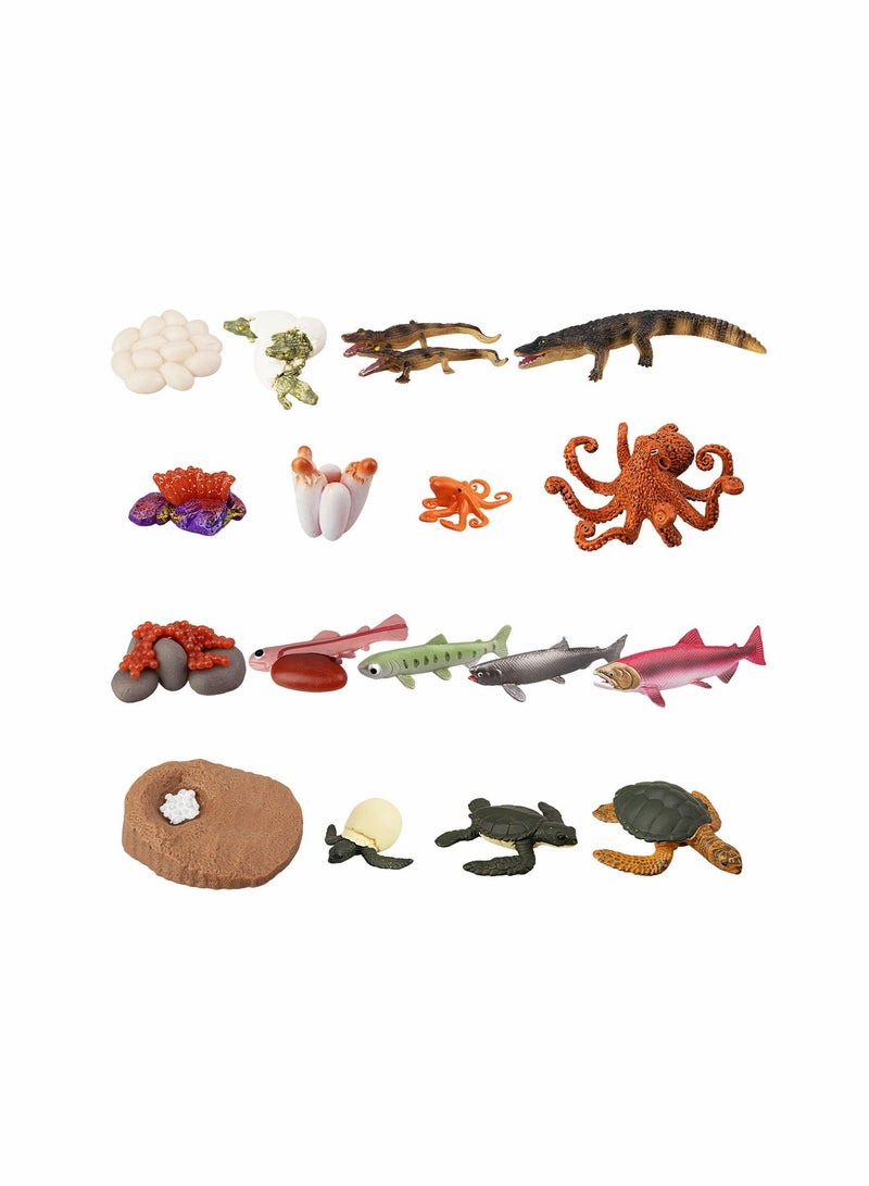 4 Sets Sea Animal Life Cycle Figurines - Turtle, Crocodile, Octopus, Salmon - Image 2