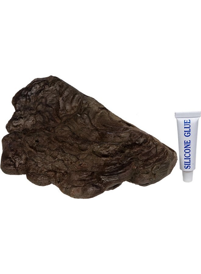 Zoo Med Mushroom Ledge, Small - Image 3