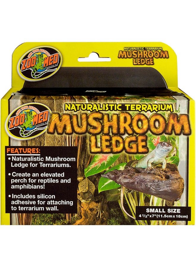 Zoo Med Mushroom Ledge, Small - Image 1