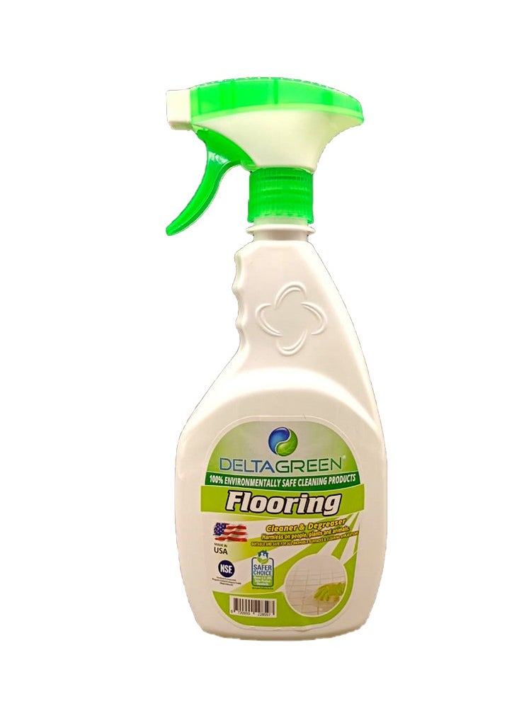 DELTA GREEN - D G FLOORING CLNR & DGRESER 650ML - Image 1