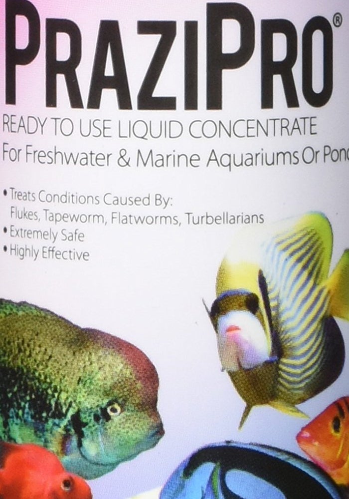 Hikari Usa AHK73254 fish Prazipro for Aquarium, 4-Ounce - Image 1