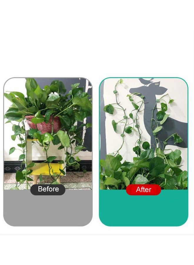 HOMESTAR 60 Pcs Plant Wall Clips, Wall Fixing Clips, Plant Climbing Tools, Leaf Simulation Clips For Garden, Plant Vines - Image 3