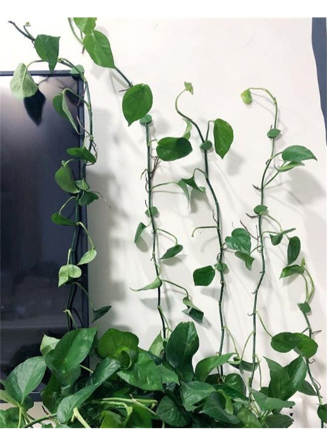 HOMESTAR 60 Pcs Plant Wall Clips, Wall Fixing Clips, Plant Climbing Tools, Leaf Simulation Clips For Garden, Plant Vines - Image 2