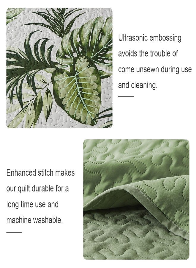 OARAGE Quilt Bedding Set, Sage Green Twin Comforter Set, Bedding Comforter Sets, Soft Lightweight Bedspread, Ultrasonic Microfiber Bed Coverlet for All Season (1 Quilt,1 Sham) - Image 3