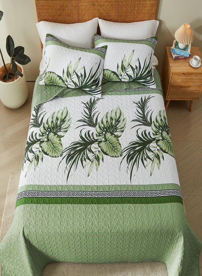 OARAGE Quilt Bedding Set, Sage Green Twin Comforter Set, Bedding Comforter Sets, Soft Lightweight Bedspread, Ultrasonic Microfiber Bed Coverlet for All Season (1 Quilt,1 Sham) - Image 1