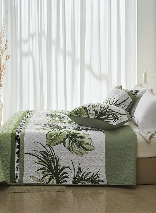 OARAGE Quilt Bedding Set, Sage Green Twin Comforter Set, Bedding Comforter Sets, Soft Lightweight Bedspread, Ultrasonic Microfiber Bed Coverlet for All Season (1 Quilt,1 Sham) - Image 2