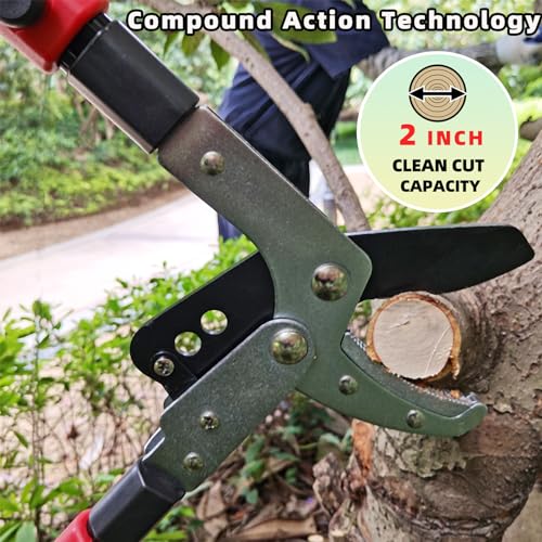 YRTSH Loppers Branch Cutter Heavy Duty Tree Trimmer, Extendable 28-41" Tree Pruner with Compound Action, Tree Cutter with 2 Inch Clean Cut Capacity Chop Thick Branches Effortlessly - Image 2