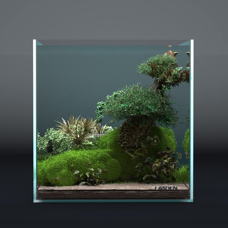 Landen 30C 6.6 Gallon Rimless Low Iron Aquarium Tank, W11.8×D11.8×H11.8 in(30x30x30cm) 5mm Thickness with Nano Foam Leveling Mat Included - Image 5