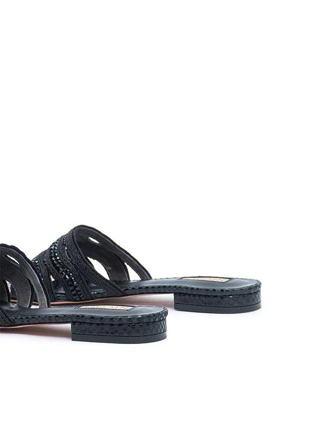 Nicoli  LIZEA for Women | Best Price UAE