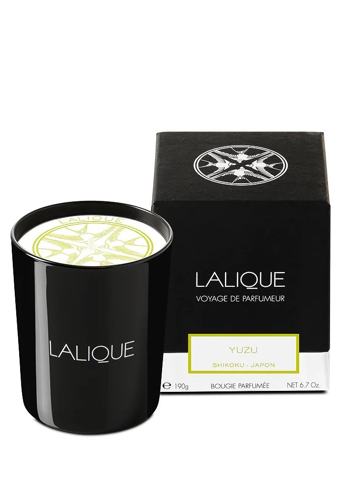 LALIQUE - Lalique Candle 190g Yuzu Shikoku - Image 1