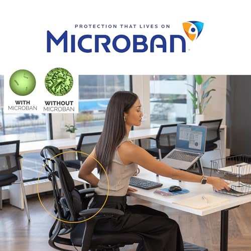 Fellowes Professional Series Back Support, Black (8037601) - Image 4