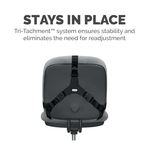 Fellowes Professional Series Back Support, Black (8037601) - Image 2