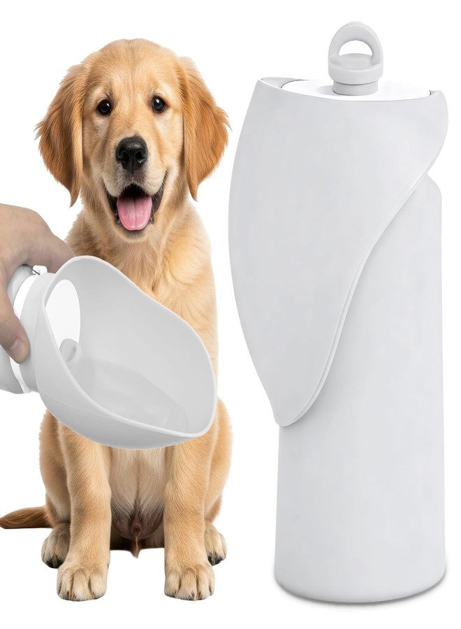 PET Hous Dog Water Bottle, Leakproof Portable Water Bowl for Dog, Lightweight Water Bottle for Dogs, Food Grade Silicone, Collapsible Travel Pet Water Bottle for Outdoor Hiking Camping (Grey, 18.6 Ounces) - Image 1