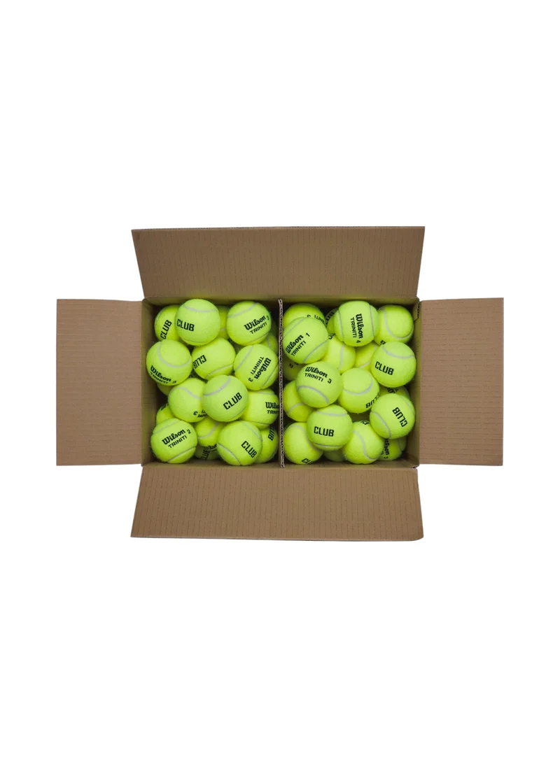 Wilson Triniti Club Tennis Balls - 72 Pack