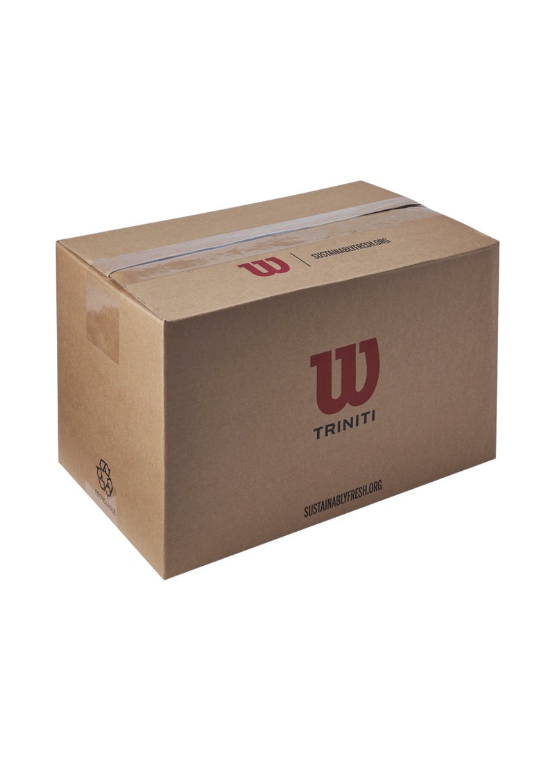 Wilson - Triniti Club Tennis Balls - 72 Pack - Image 1