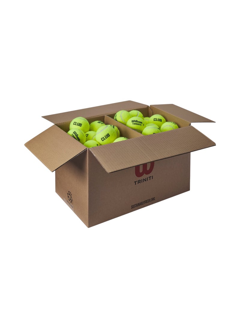 Wilson - Triniti Club Tennis Balls - 72 Pack - Image 1