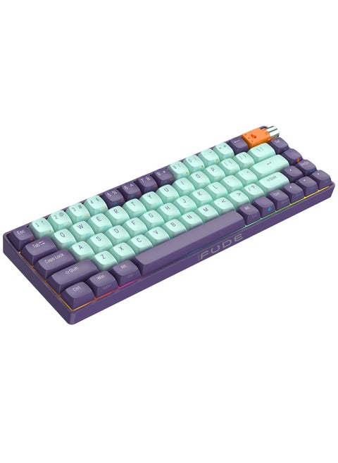 Wireless Mechanical Keyboard with 67 Keys Hot swappable with RGB Backlit