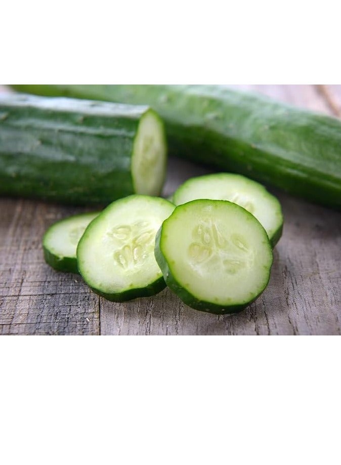 أجريماكس خيار أجريماكس - بذور - Image 3