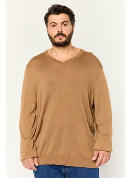 Men V-Neck Textured Long Sleeves Sweater, Brown