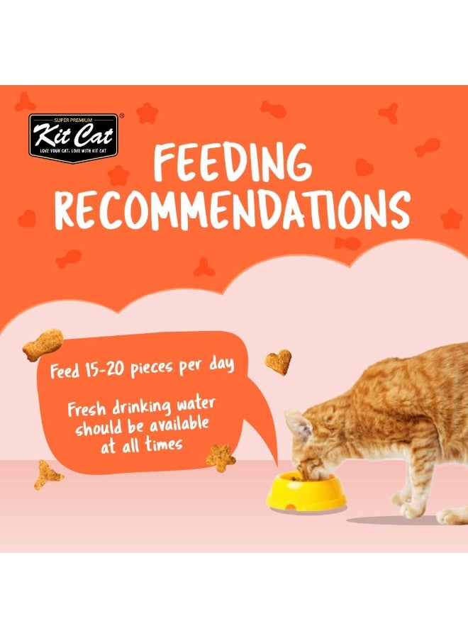 Kit Cat Kitty Crunch Salmon Flavor Cat Treats with Taurine Omega 3 and 6 Hairball Control and Dental Care 60g - Image 4