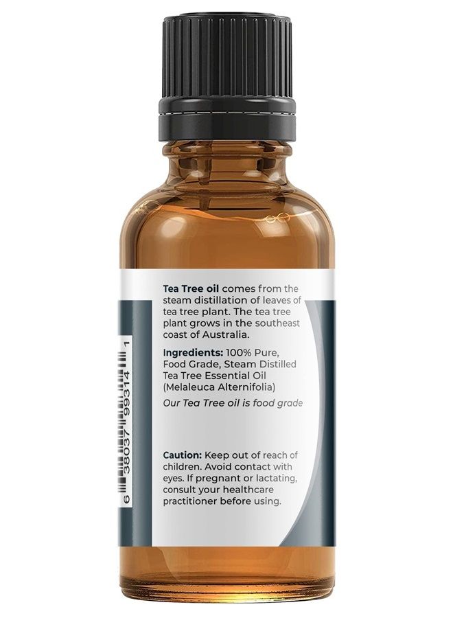 Viva Doria زيت شجرة الشاي الأسترالي النقي 100%، غير مخفف، درجة غذائية، 30 مل (1 أونصة سائلة) - Image 2