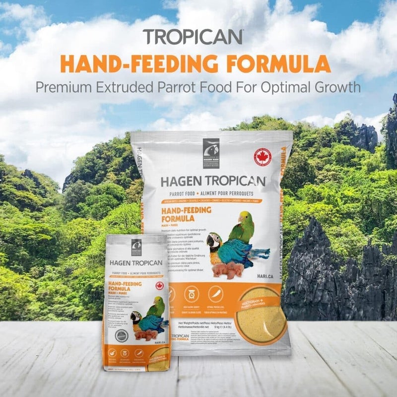 Hari Tropican Baby Bird Food, Parrot Food, Complete Nutrition Diet, Hand-Feeding Formula, 11 lb Bag - Image 2