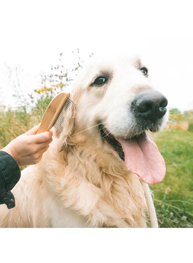 دوفو + مشط فك تشابك الشعر Duvo+ [العدد - 21] - Image 2