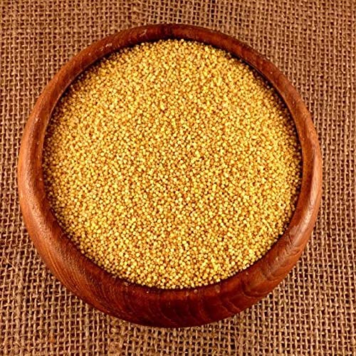 SANSEFERO طعام الطيور من الدخن ذيل الثعلب (كانغ) | تغذية ممتازة لجميع مراحل الحياة للببغاوات، طيور الحب، الببغاوات، الكناري، الشرشور، طيور الشمع، البادجي وكوكاتيل (500 جرام) - Image 4