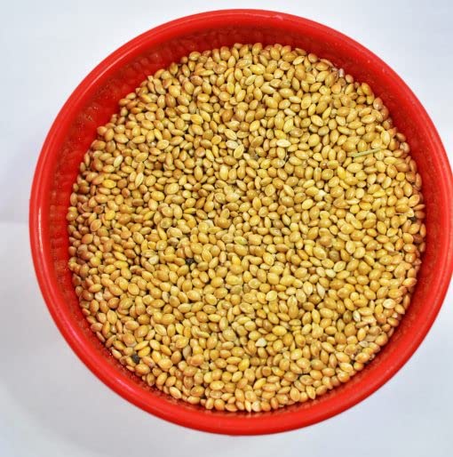 SANSEFERO طعام الطيور من الدخن ذيل الثعلب (كانغ) | تغذية ممتازة لجميع مراحل الحياة للببغاوات، طيور الحب، الببغاوات، الكناري، الشرشور، طيور الشمع، البادجي وكوكاتيل (500 جرام) - Image 5