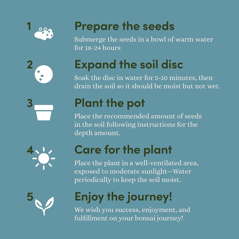 Planters' Choice Bonsai Starter Kit - Gardening Easter Gift for Women & Men - Bonsai Tree Growing Garden Crafts Hobby Kits for Adults, Unique DIY Hobbies for Plant Lovers - Unusual Christmas Gifts Ideas - Image 5