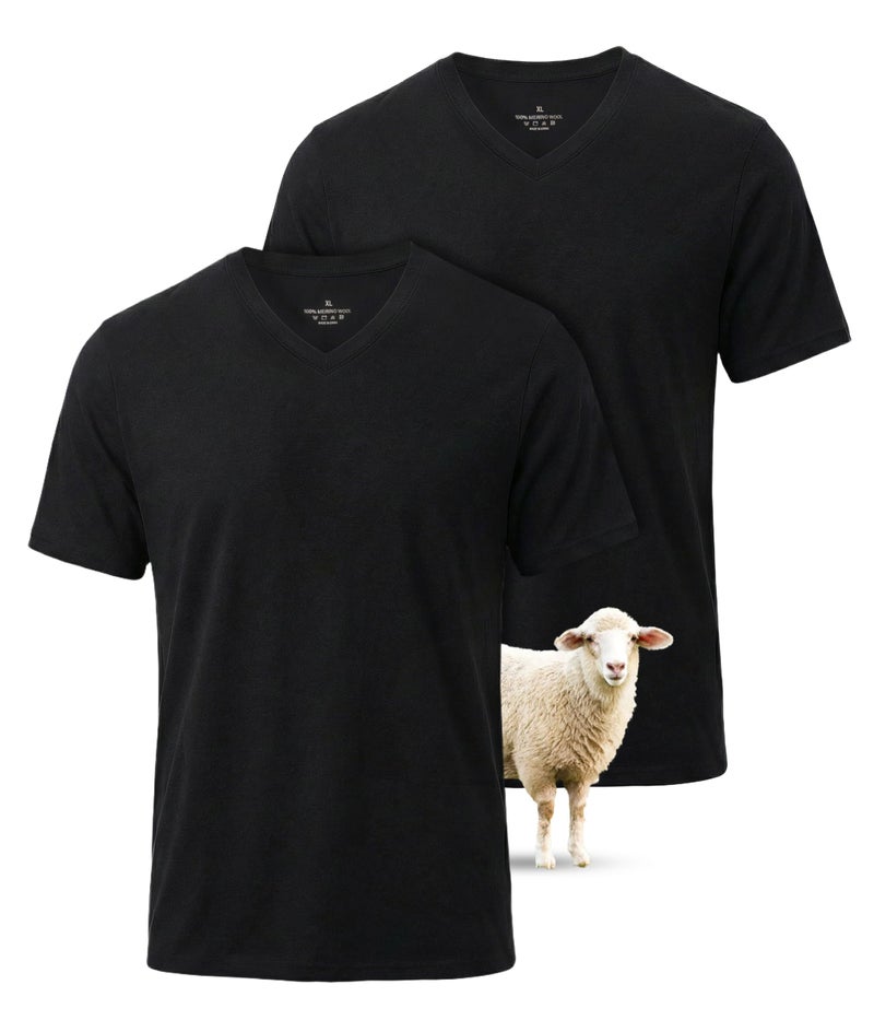 SUNCHIRI 2 Pack Merino Wool T Shirts for Men, V-Neck 100% Wool Base Layer, Breathable Undershirt for Travel, Fitness(Black, L) - Image 1