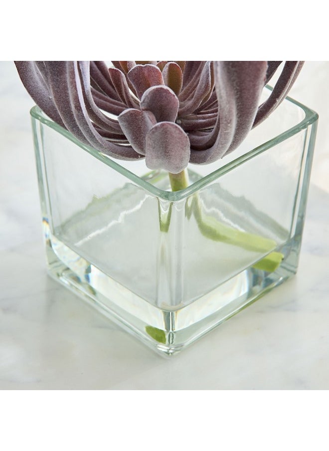 Home Box Liara Succulent Pick In Glass 17 X 17 X 18 Cm  - Image 3
